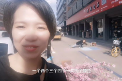 义乌网红朱,电商奇迹背后的直播达人